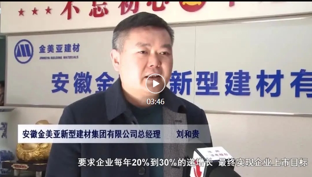 池州电视台专访报道：推动产业转型升级-夯实产业高质量发展成果