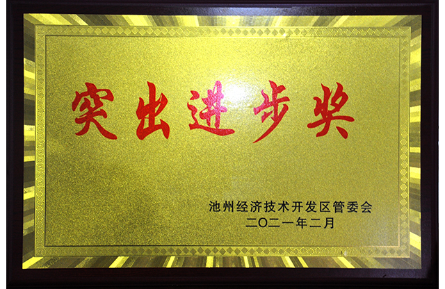 突出进步奖.jpg