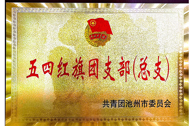 五四红旗团支部(总支）.jpg